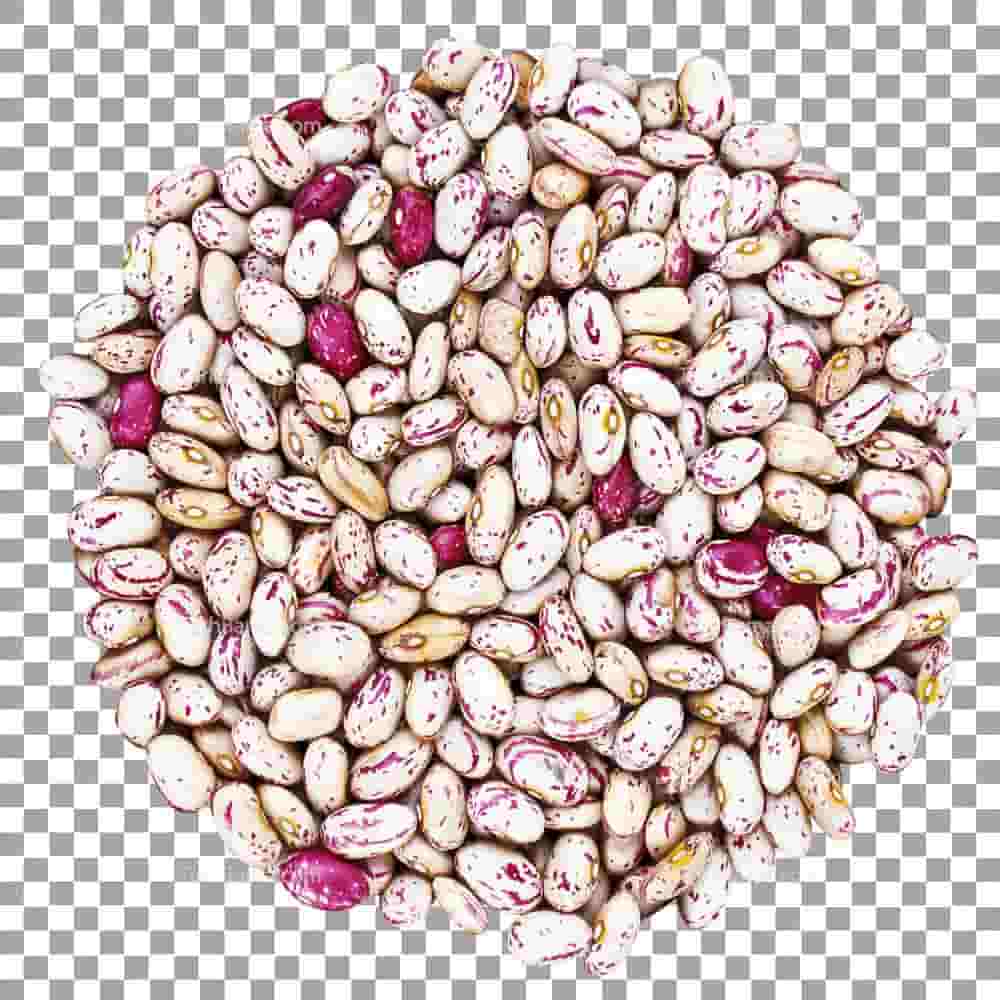 تصویر 3 از لوبیا چیتی نرم خوشپخت سنتی